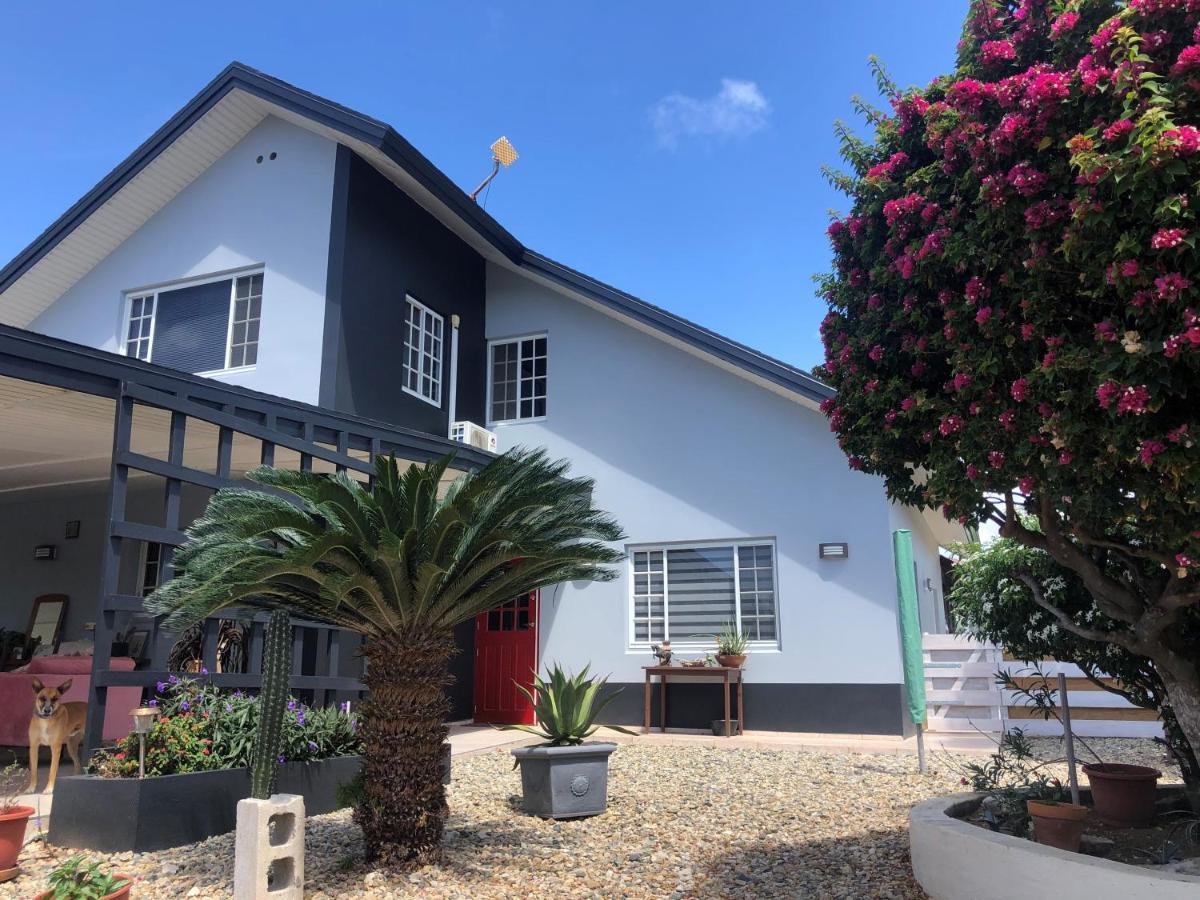 Palmhouse Apartments Aruba 1- 4 Persons Savaneta Eksteriør billede