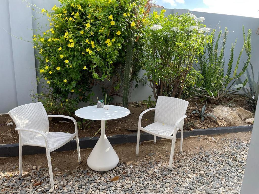 Palmhouse Apartments Aruba 1- 4 Persons Savaneta Eksteriør billede