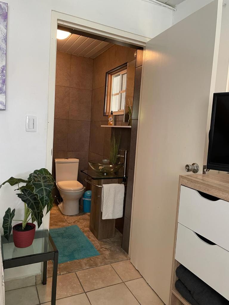 Palmhouse Apartments Aruba 1- 4 Persons Savaneta Eksteriør billede