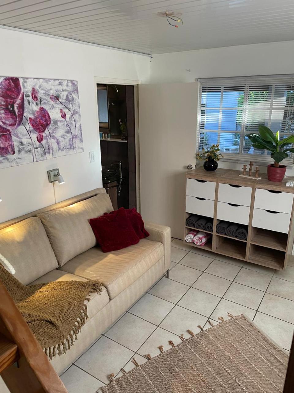 Palmhouse Apartments Aruba 1- 4 Persons Savaneta Eksteriør billede